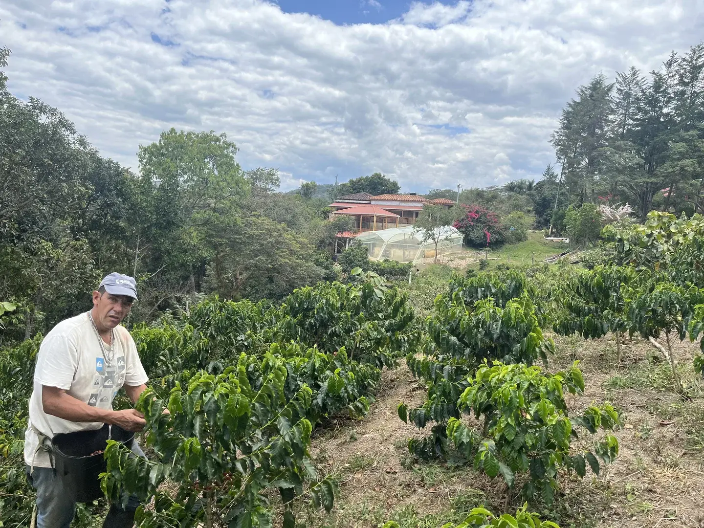 Productor de café en Puente Nacional Santander